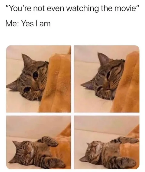 Cat Pretending to Watch the Movie