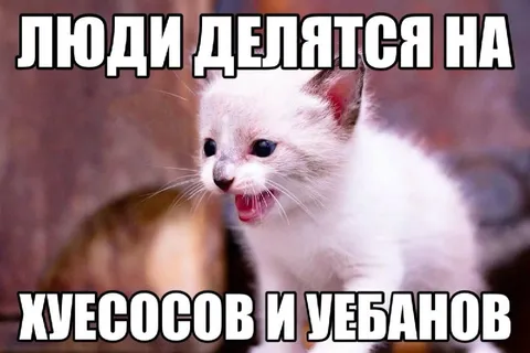 Люди делятся на хулесосов и убанов