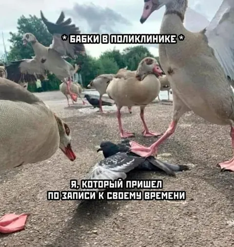 Бабки в поликлинике