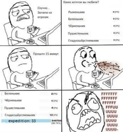 Опросик про котяток