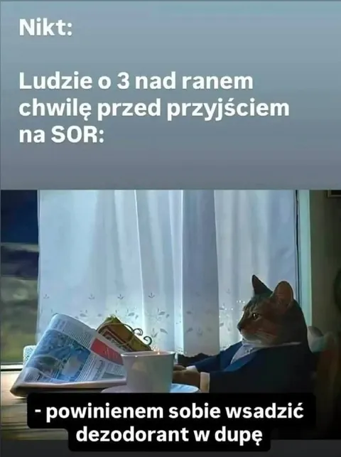 Kot przed wizytą na SOR