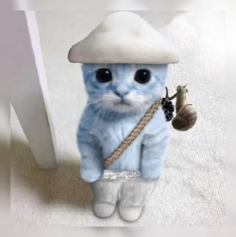 Котик-грибник с улиткой