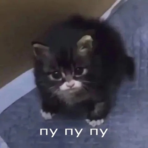 Котёнок говорит пу пу пу