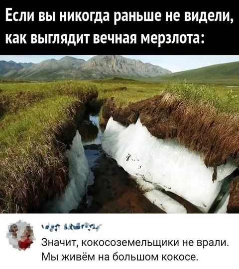 Мы живём на большом кокосе