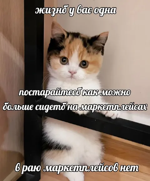Жизнь одна — сидите на маркетплейсах