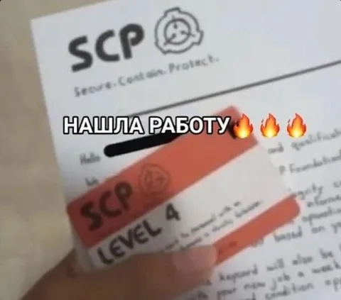 Нашла работу в SCP