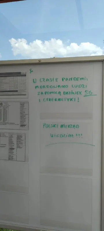 Polski mierzą wiedzą