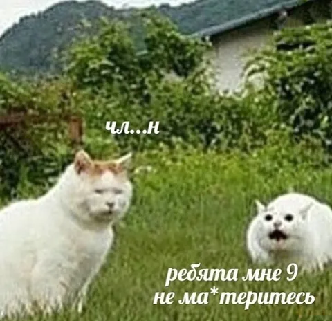 Ребята, мне 9, не материтесь