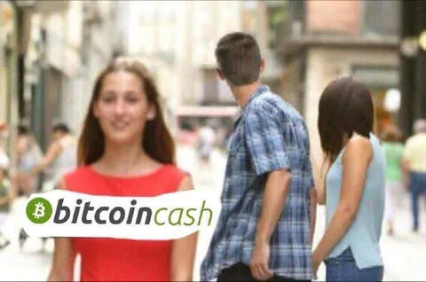 Bitcoin Cash Distracted Boyfriend