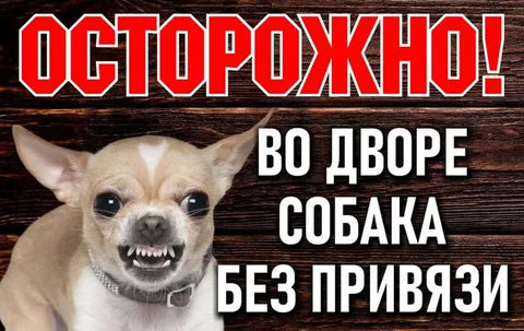 Осторожно собака без привязи