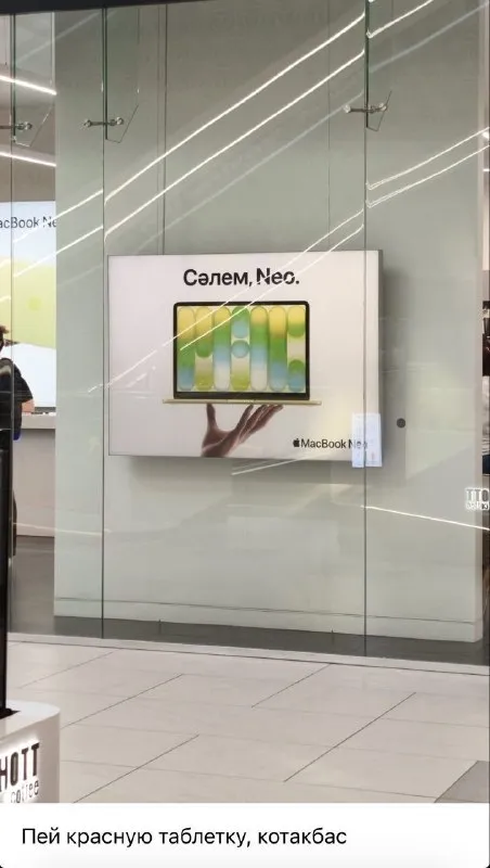 Пей красную таблетку, котакбас