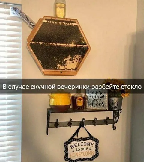 Скучная вечеринка и улей