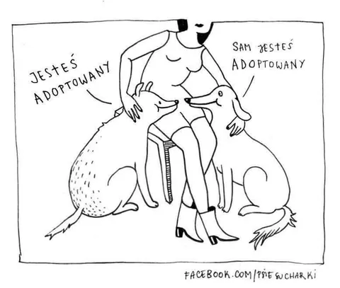 Jesteś adoptowany