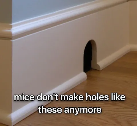 Mice Don't Make Holes Like These