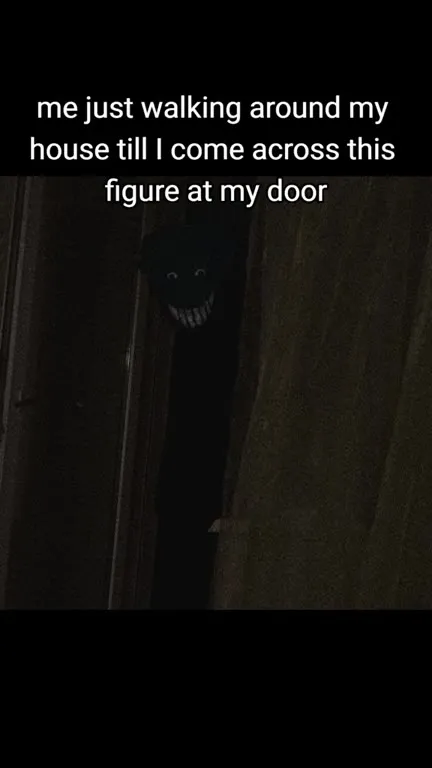 Cat Finds a Figure at the Door