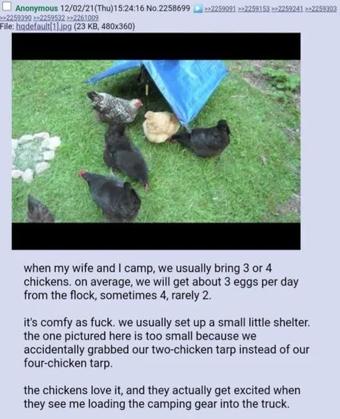 Camping With Chickens