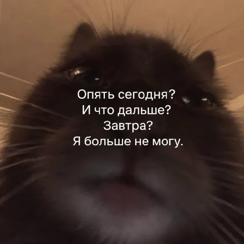 Опять сегодня? Я больше не могу