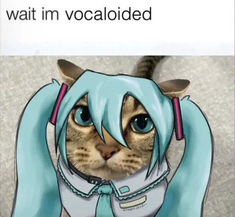 Wait I’m Vocaloided Cat
