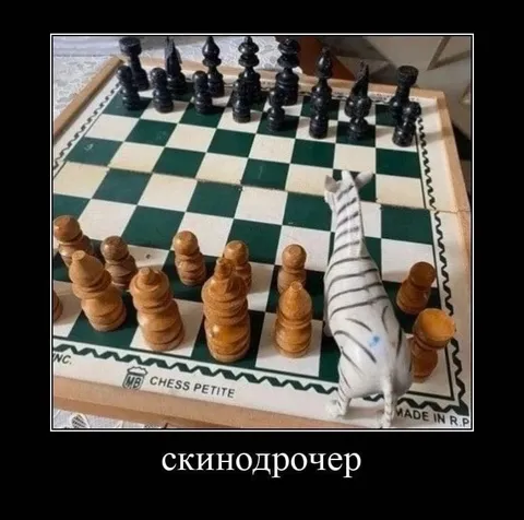 Скинодрочер на шахматной доске