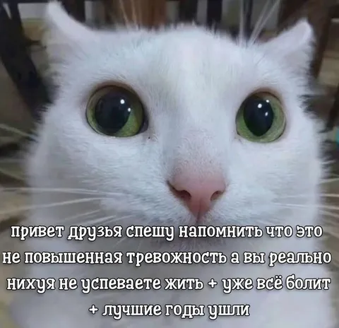 Когда жизнь уже не успевается