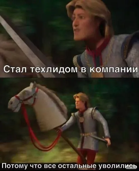Техлид остался один в компании