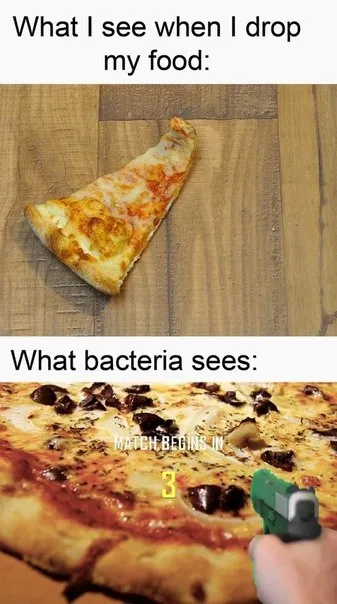 What Bacteria Sees When Food Drops