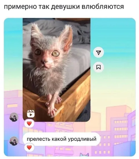 Девушки влюбляются в уродливых котят