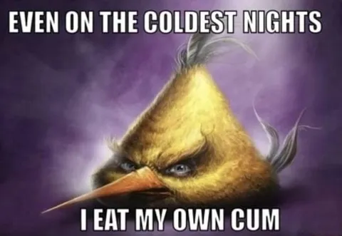 Bird Eats Its Own Cum