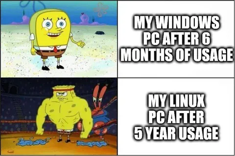 Windows PC vs Linux PC