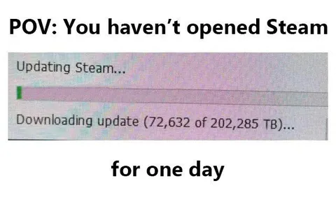 Steam Update After One Day