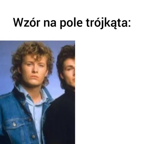Wzór na pole trójkąta