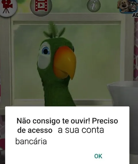 Papagaio pede acesso bancário