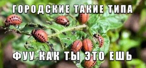Городские такие типа фуу