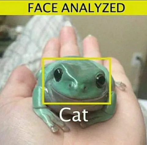 Face Analysis Mistakes Frog for Cat