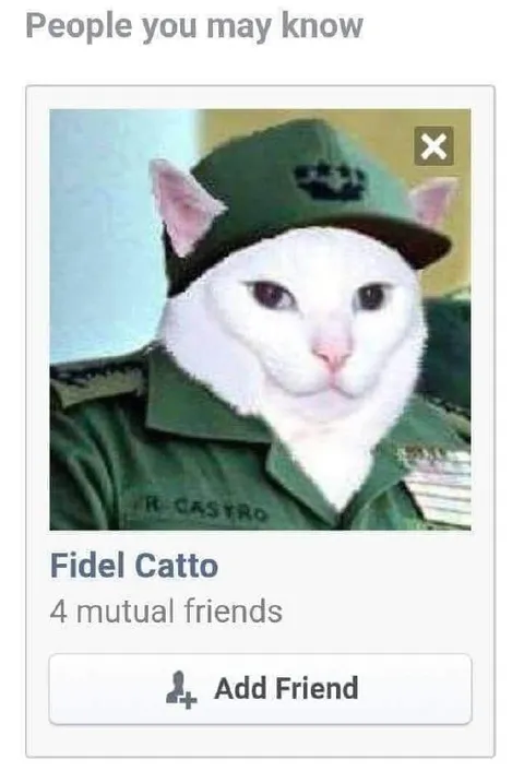 Fidel Catto Friend Suggestion