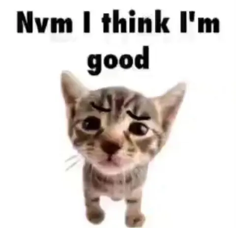 Nvm I Think I'm Good Cat