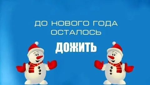 До Нового года осталось дожить