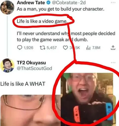 Life Is Like a What