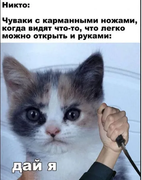 Кот с ножом дай я