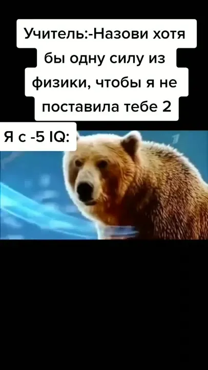 Сила тайги, реки и гор