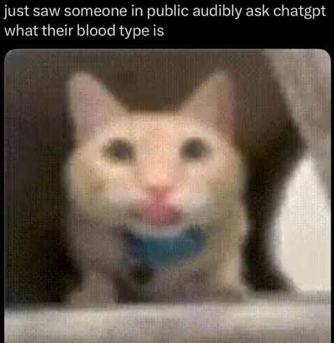 Cat Asks ChatGPT Blood Type
