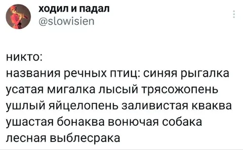 Названия речных птиц