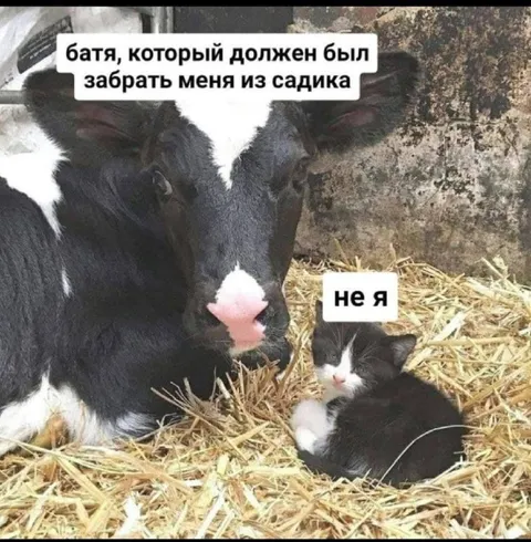 Батя не забрал из садика
