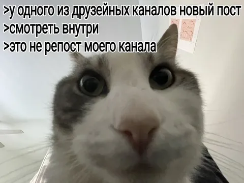 Новый пост в дружейном канале