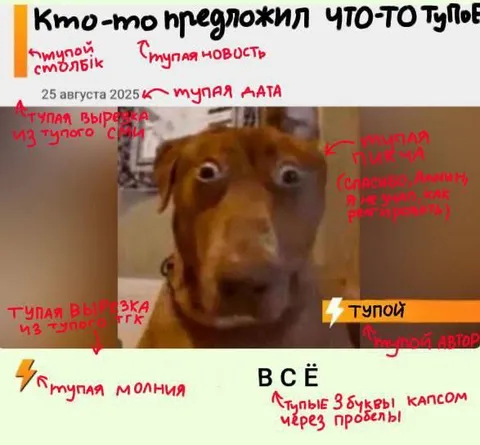 Всё тупое в одной новости