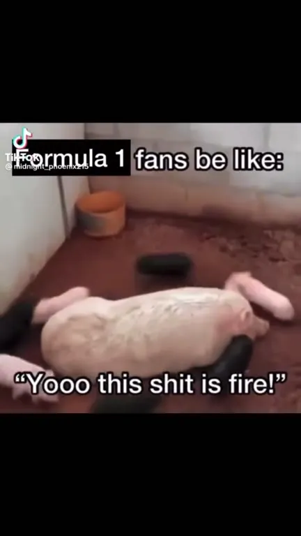 Formula 1 Fans Go Crazy