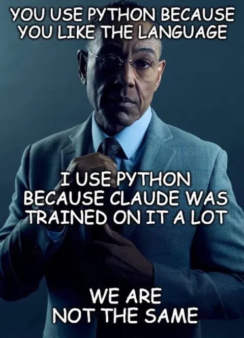 Python Users Are Not the Same
