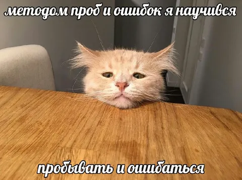 Метод проб и ошибок