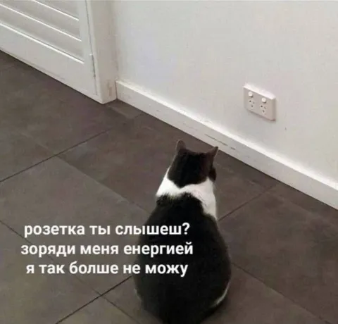 Кот просит зарядить энергией