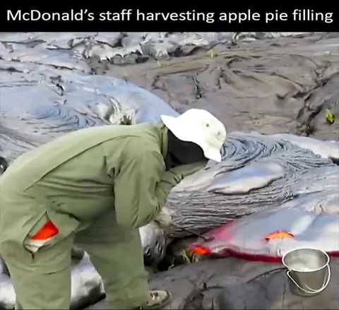 McDonald’s Staff Harvesting Apple Pie Filling